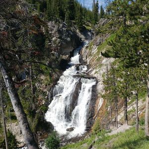 Meet your Posher, Greg